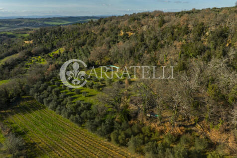 Terreno agricolo con