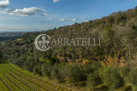 Terreno agricolo con