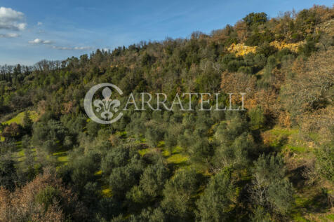 Terreno agricolo con