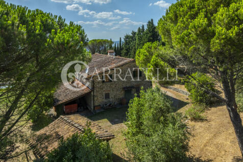 Tenuta con terreno e