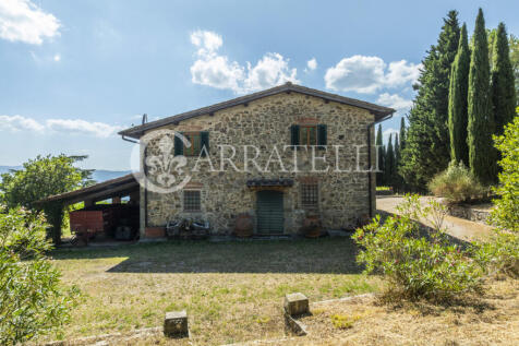 Tenuta con terreno e