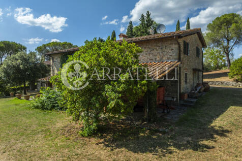 Tenuta con terreno e