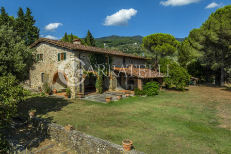 Tenuta con terreno e