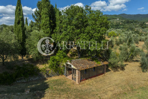 Tenuta con terreno e