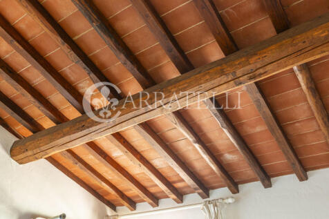 Tenuta con terreno e