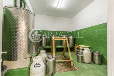 Tenuta con terreno e