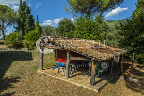 Tenuta con terreno e