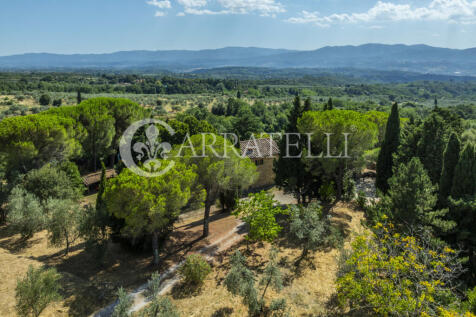 Tenuta con terreno e