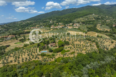Tenuta con terreno e