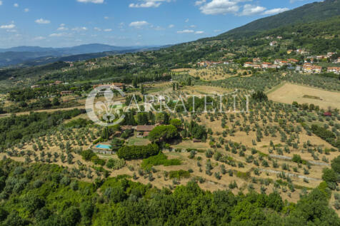 Tenuta con terreno e