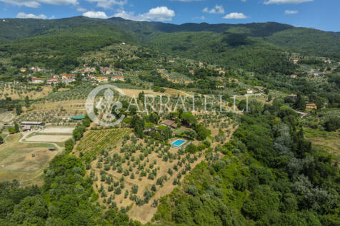 Tenuta con terreno e