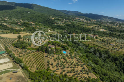 Tenuta con terreno e