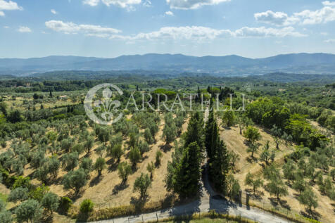 Tenuta con terreno e