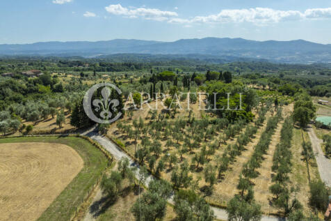 Tenuta con terreno e