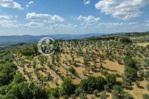 Tenuta con terreno e