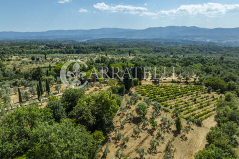 Tenuta con terreno e