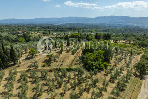 Tenuta con terreno e