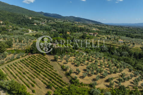 Tenuta con terreno e