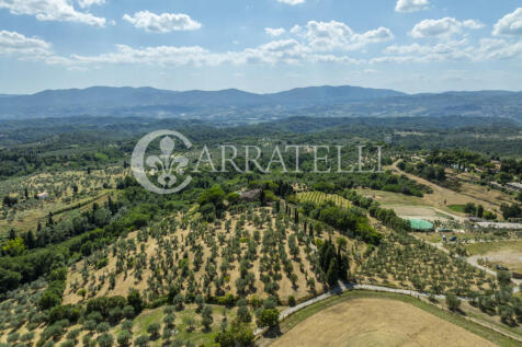 Tenuta con terreno e