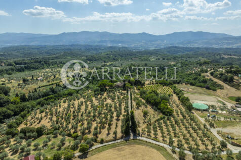 Tenuta con terreno e