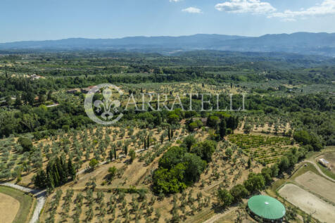 Tenuta con terreno e