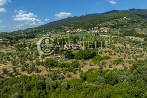 Tenuta con terreno e