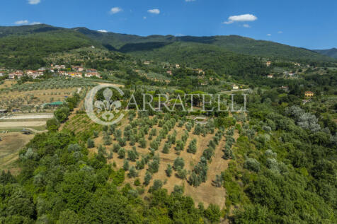 Tenuta con terreno e