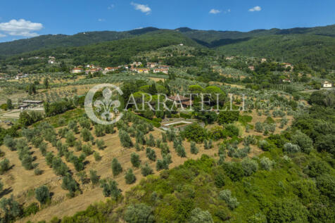 Tenuta con terreno e