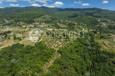 Tenuta con terreno e