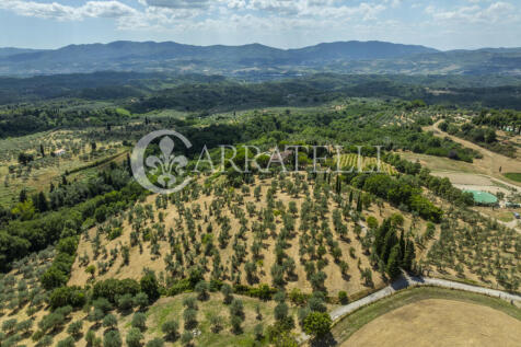 Tenuta con terreno e