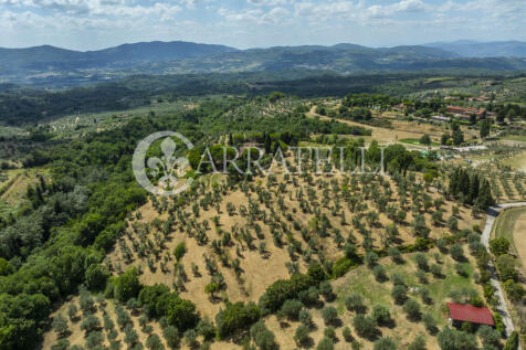 Tenuta con terreno e