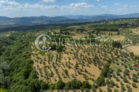 Tenuta con terreno e