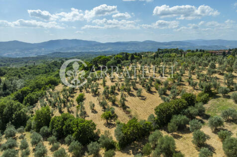 Tenuta con terreno e