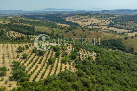Azienda agricola con
