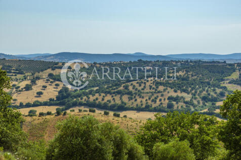 Azienda agricola con