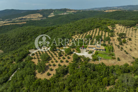 Azienda agricola con