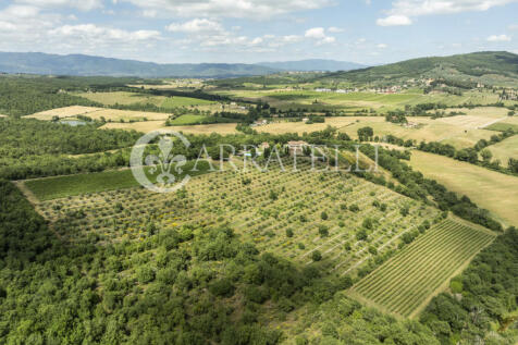 Splendida tenuta con