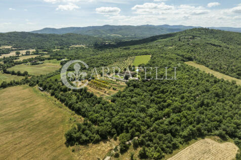 Splendida tenuta con