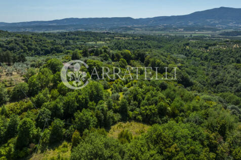 Città della Pieve m