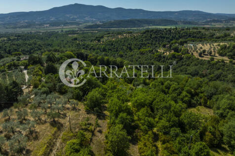 Città della Pieve m