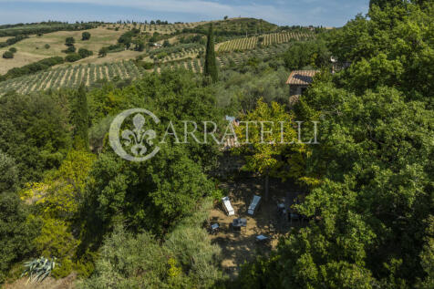 Casale con terreno i
