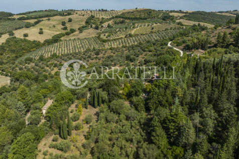 Casale con terreno i