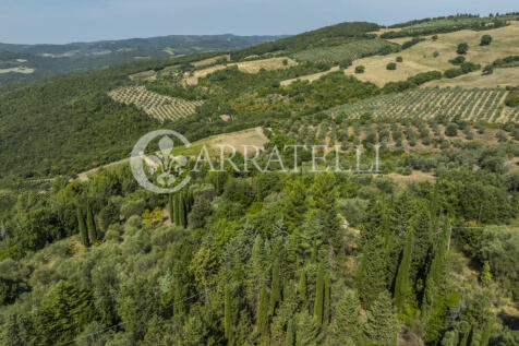 Casale con terreno i