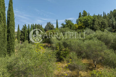 Casale con terreno i