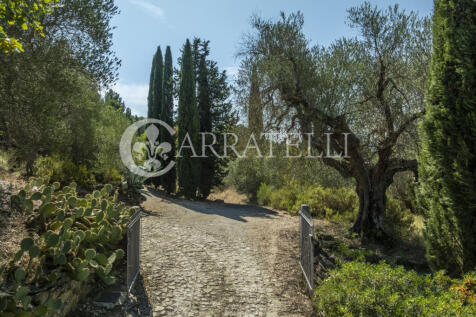 Casale con terreno i