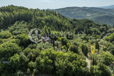 Casale con terreno i