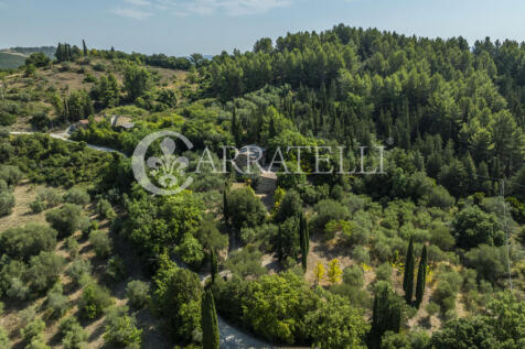 Casale con terreno i