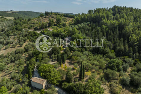 Casale con terreno i