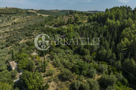 Casale con terreno i