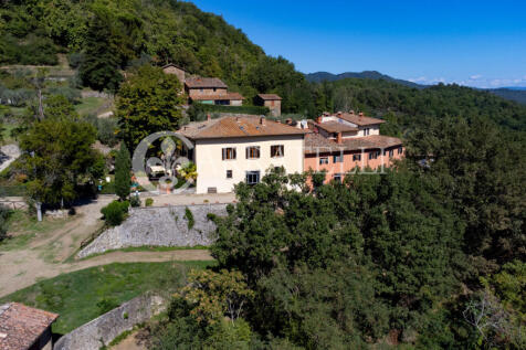 szd_Azienda agricola